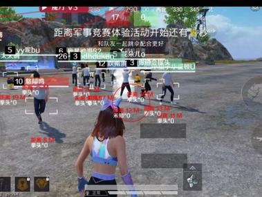 火焰鸟和平精英辅助器 - 人气辅助整合直装版